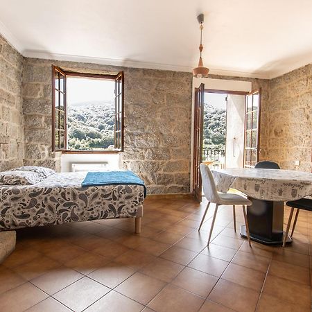 Spacieux Studio, Coeur De Sartene מראה חיצוני תמונה